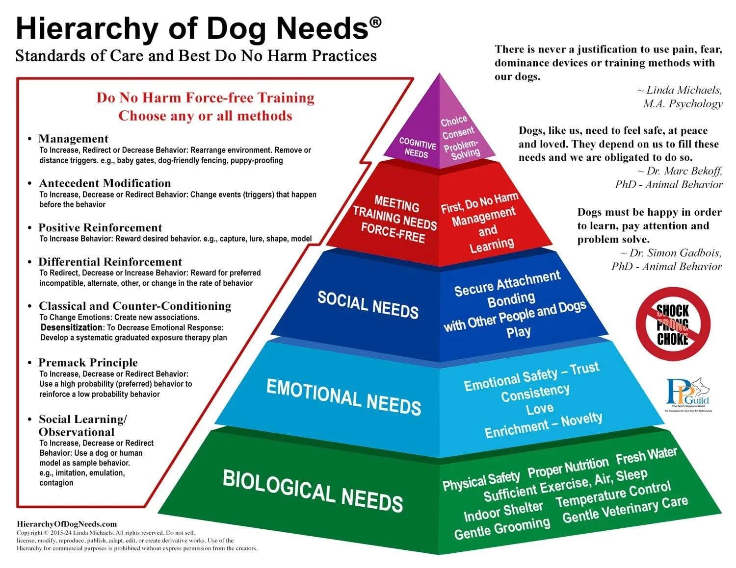 Adopting the Hierarchy of Dog Needs® as a Core Belief