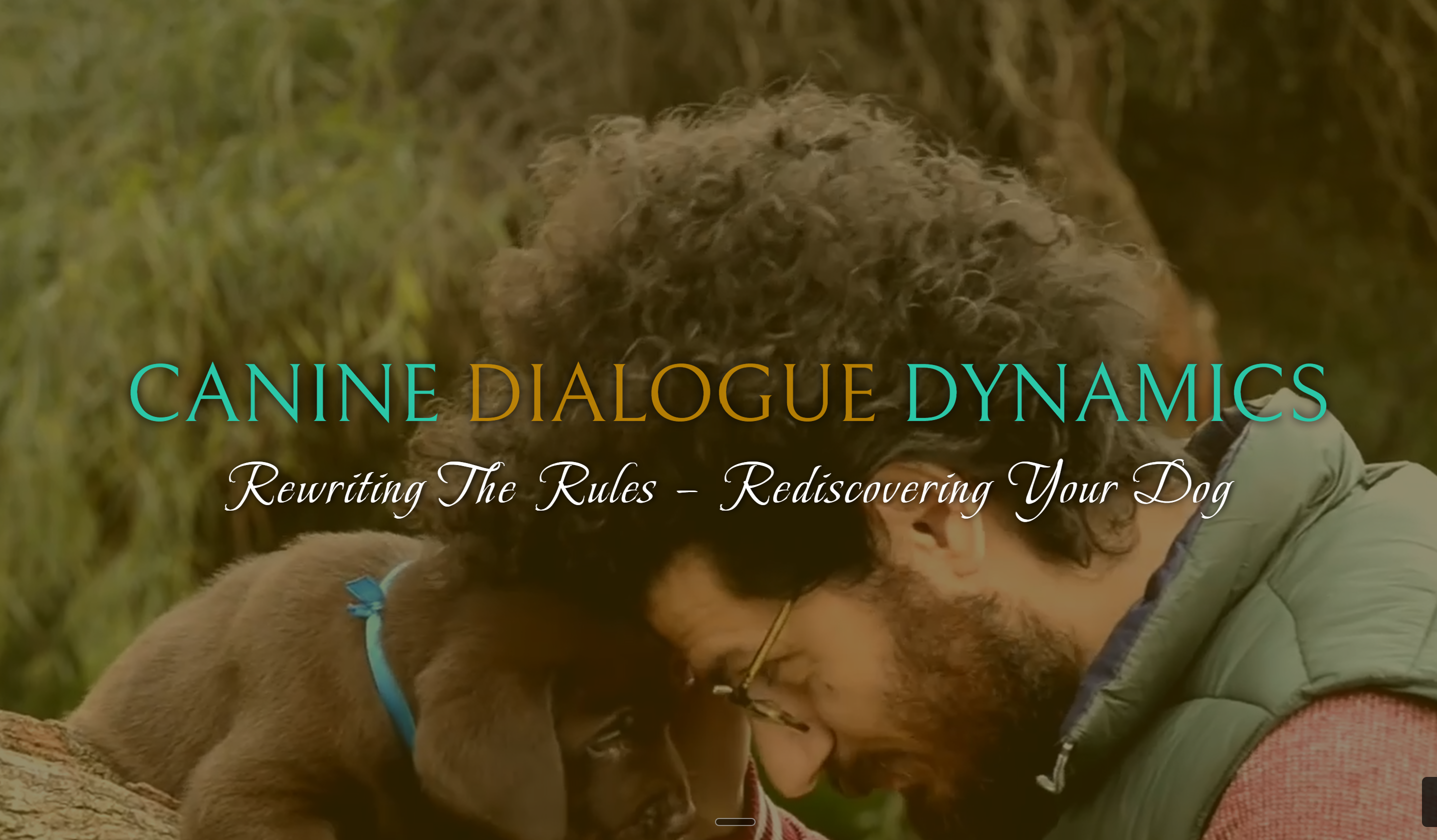 Canine Dialogue Dynamics