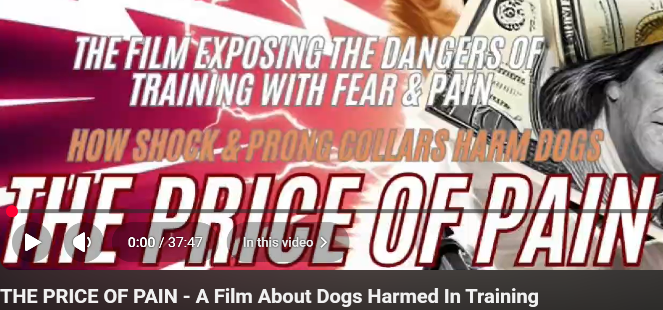 THE PRICE OF PAIN - A Film About Dogs Harmed In Training