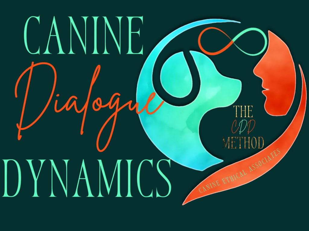 Canine Dialogue Dynamics
